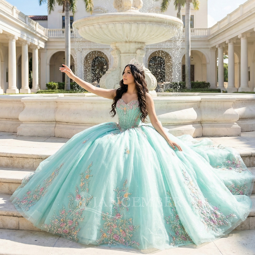 Classic Strapless Quinceanera  - Embroidery Organza recensione e prezzo