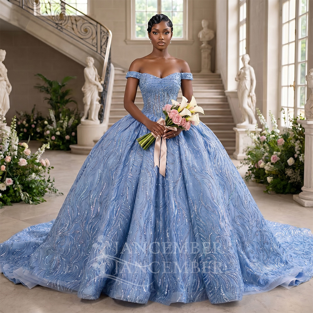 Customized Blue Quinceanera Dr - Embroidery Organza recensione e prezzo